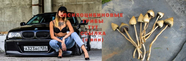 каннабис Алзамай