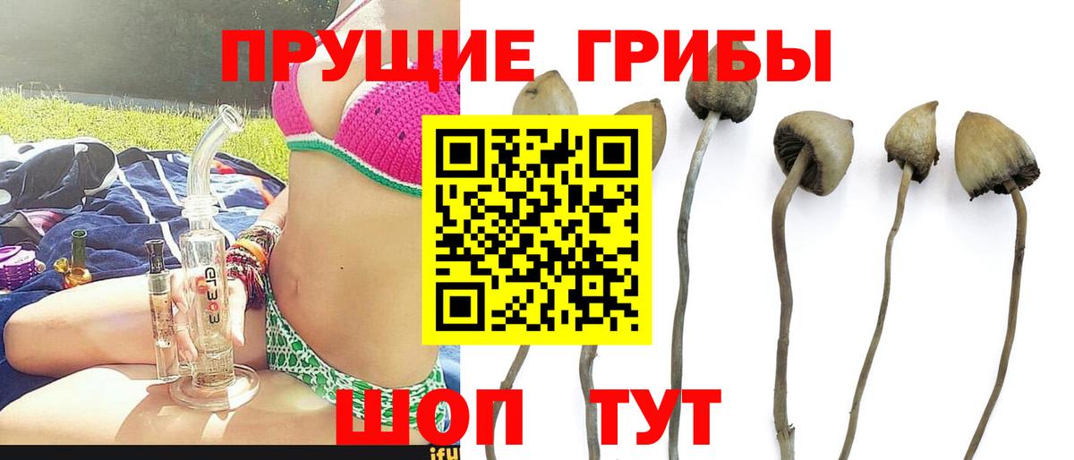 Галлюциногенные грибы Cubensis Ижевск